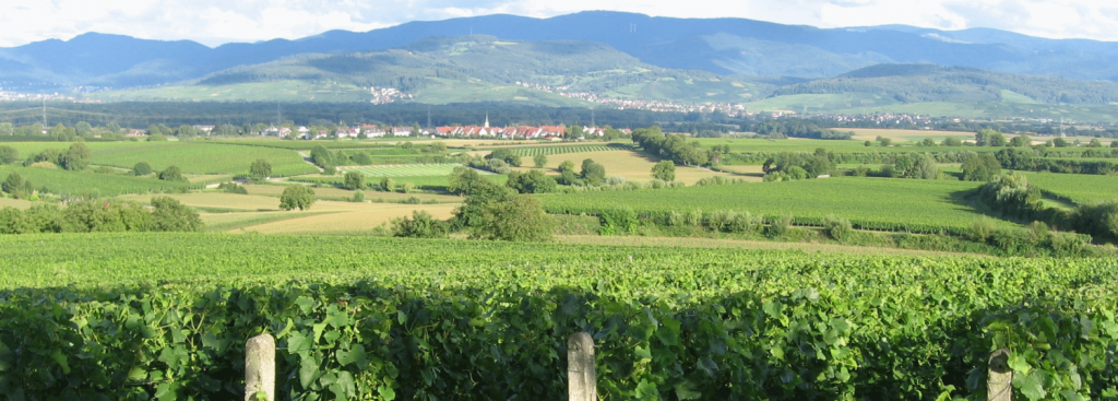 cropped-header_freiburg_tiengen.png